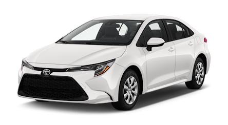 ALAMO USA ICAR 001.jpg