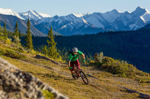 mount kidd manor activiteiten mountainbiken.png