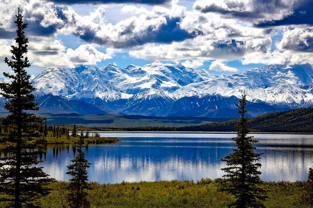 denali-national-park-1733313_1280.jpg