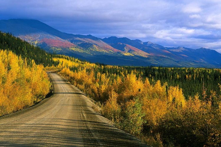 Klik op de afbeelding voor een vergroting klondike highway.jpg
