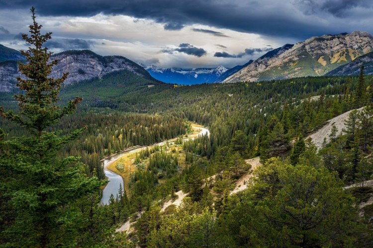 Klik op de afbeelding voor een vergroting banff forest-5900553_1280.jpg