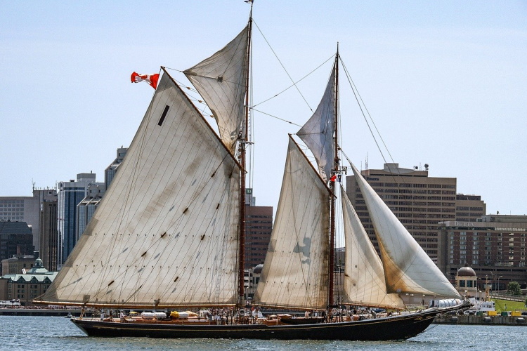tall-ship-4358924_1280.jpg