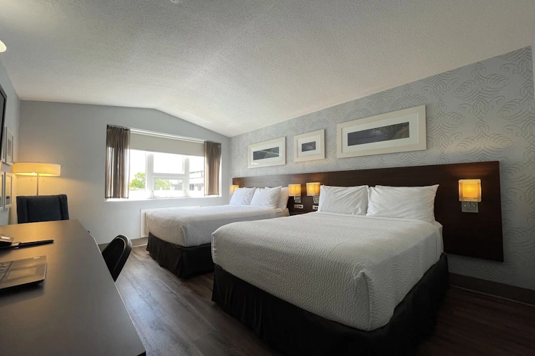 rodd moncton kamer.webp