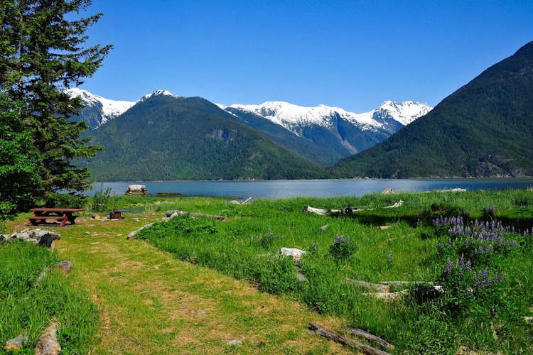 bella coola.webp