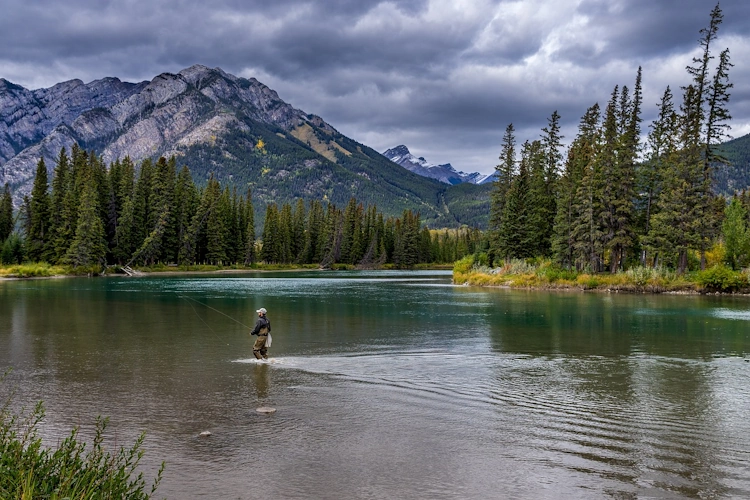 revelstoke national park 13092024.webp
