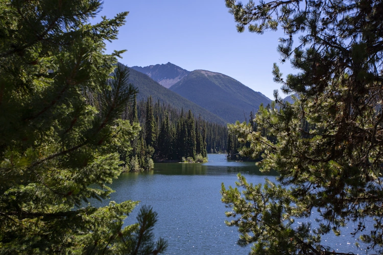 manning park dag 11.webp