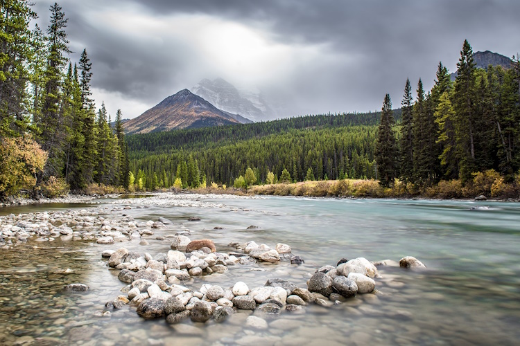 alberta cline river.jpg