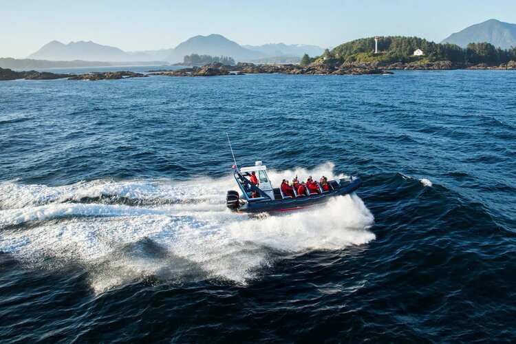 tofino ucluelet - whale watching - zodiac.jpg