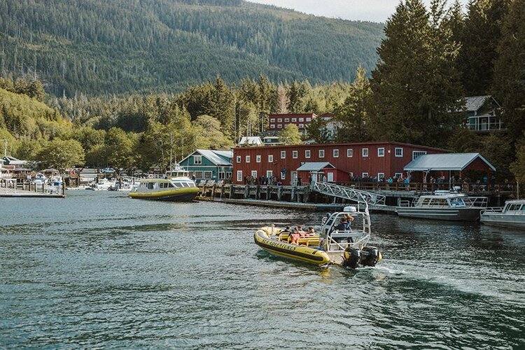 telegraph cove - whale watching - zodiac.jpg