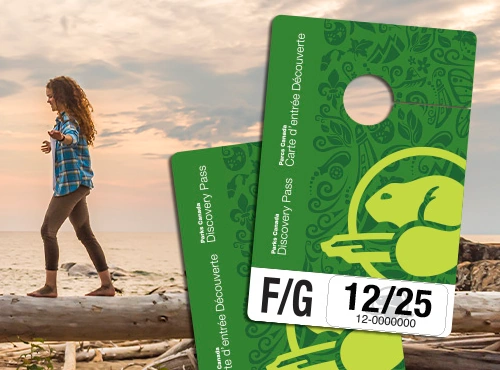 digital discovery pass.webp