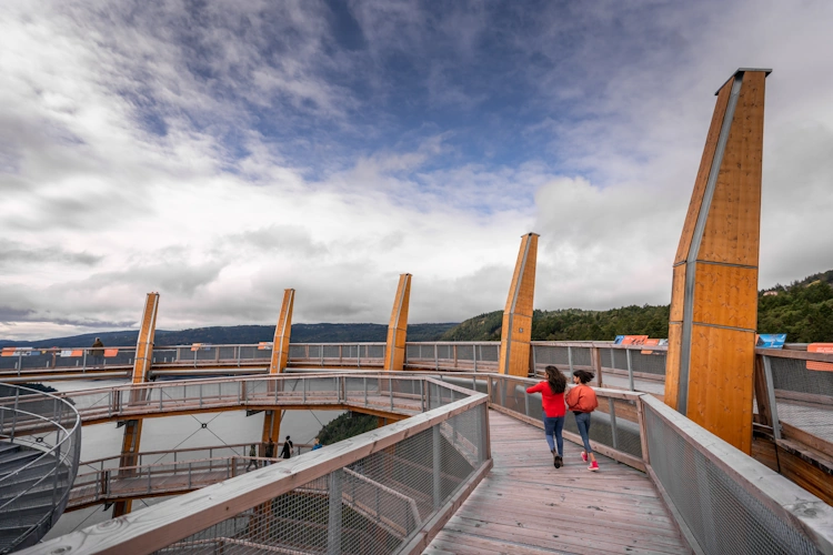 malahat skywalk.webp