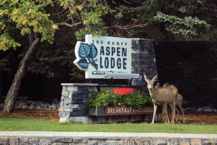 banff aspen lodge - exterieur 2.webp