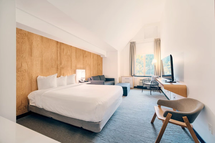 aava whistler kamer 1 bed.webp