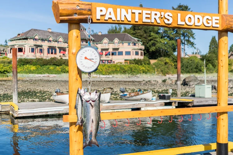 painter's lodge vissen.webp