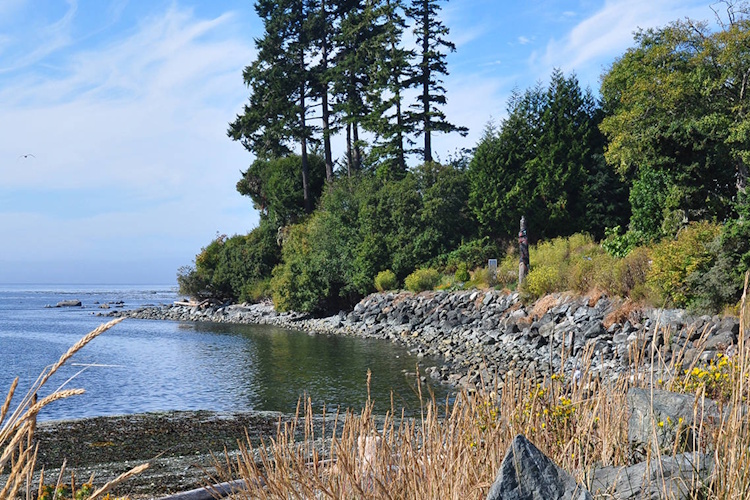 sooke.jpg