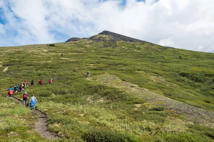 gold rush tour wandelen _ klein.webp