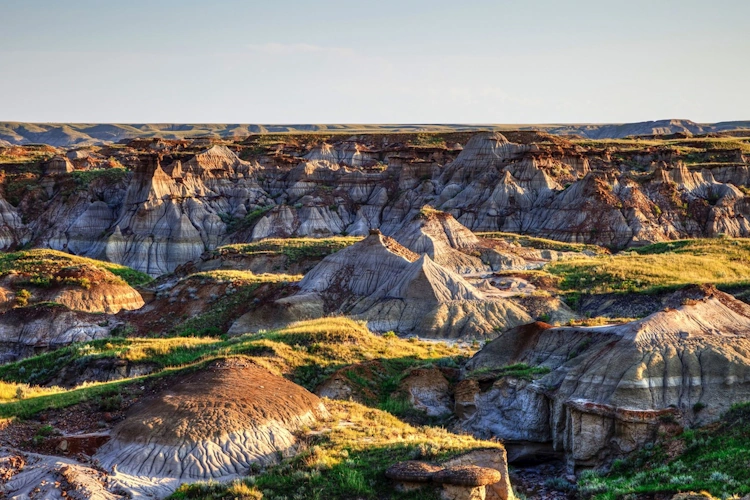 dinosaur provincial park klein 001.webp