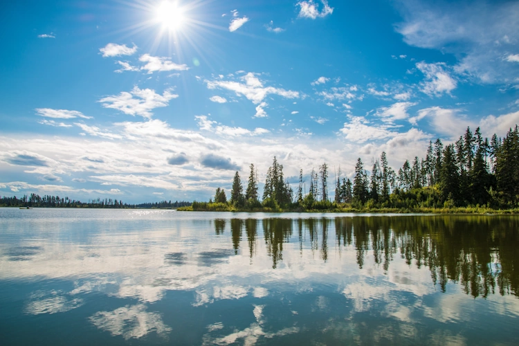elk island national park klein 001.webp