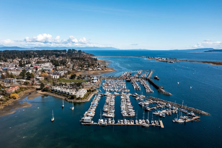 Comox 16102025 015.webp