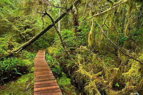 Klik op de afbeelding voor een vergroting Pacific Rim National Park 001
