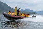 Coastal Bear Watch Tofino