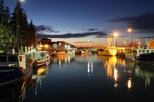 Klik op de afbeelding voor een vergroting Bay of Fundy 004