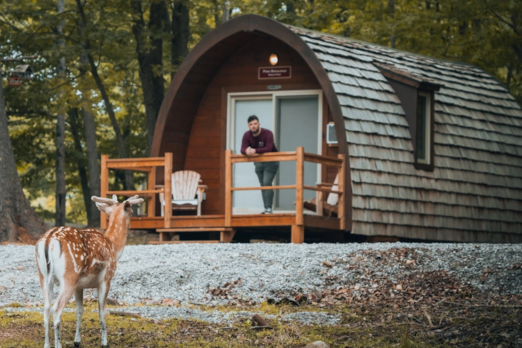 Omega Park pod 001.webp