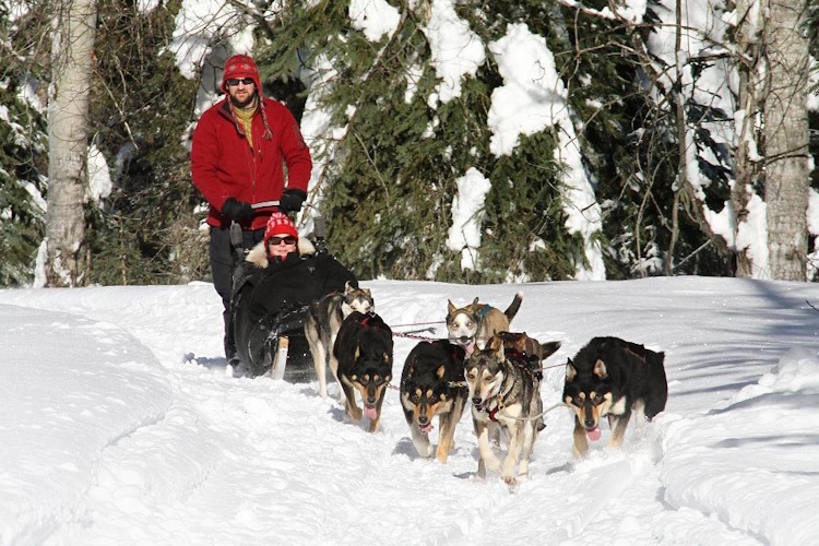 Jasper Dogsledding 050.jpg