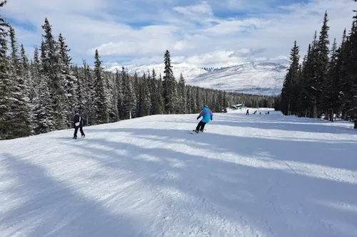 Jasper - CanadaPlus 500x333.webp