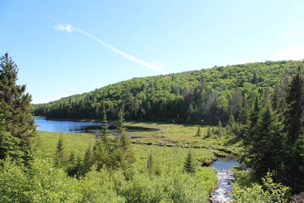 Highlights of Eastern Canada - 007.webp