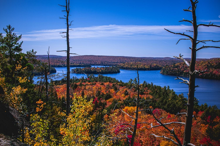 Algonquin Provincial Park 001 Photo by Dylan McLeod on Unsplash 002.webp