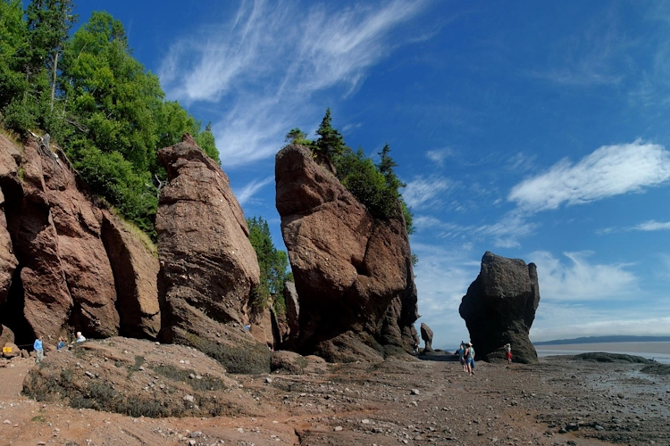 hopewell rocks Bay of Fundy .webp