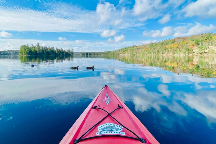 Algonquin Provincial Park 001 Photo by Jaime Dantas on Unsplash.webp