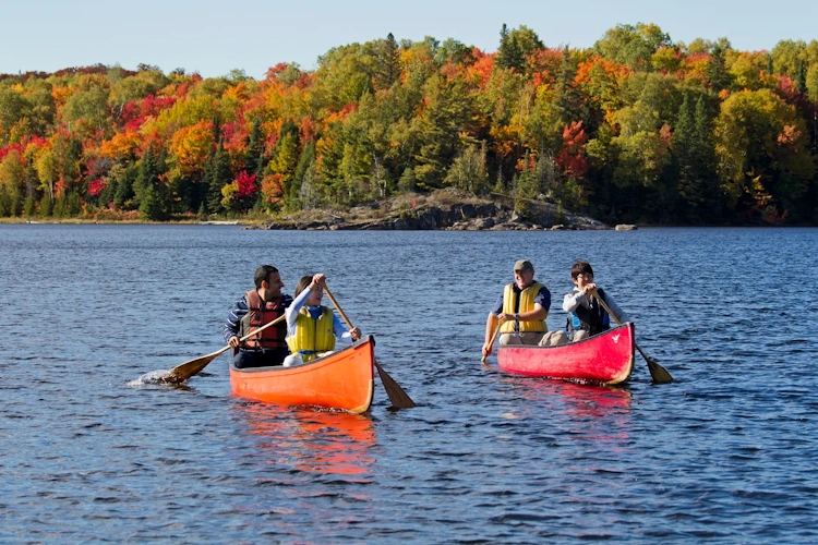 algonquin provincial park canoe 001.webp
