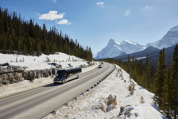 Jasper transfer Edmonton 019.webp