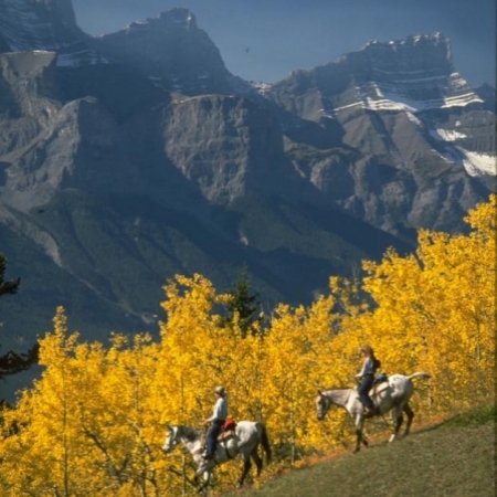 Klik op de afbeelding voor een vergroting Canmore 001