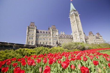 Klik op de afbeelding voor een vergroting Ottawa 001