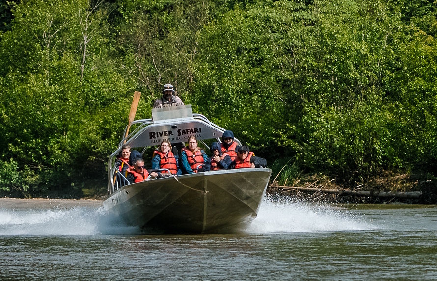 Blue River Safari.jpg