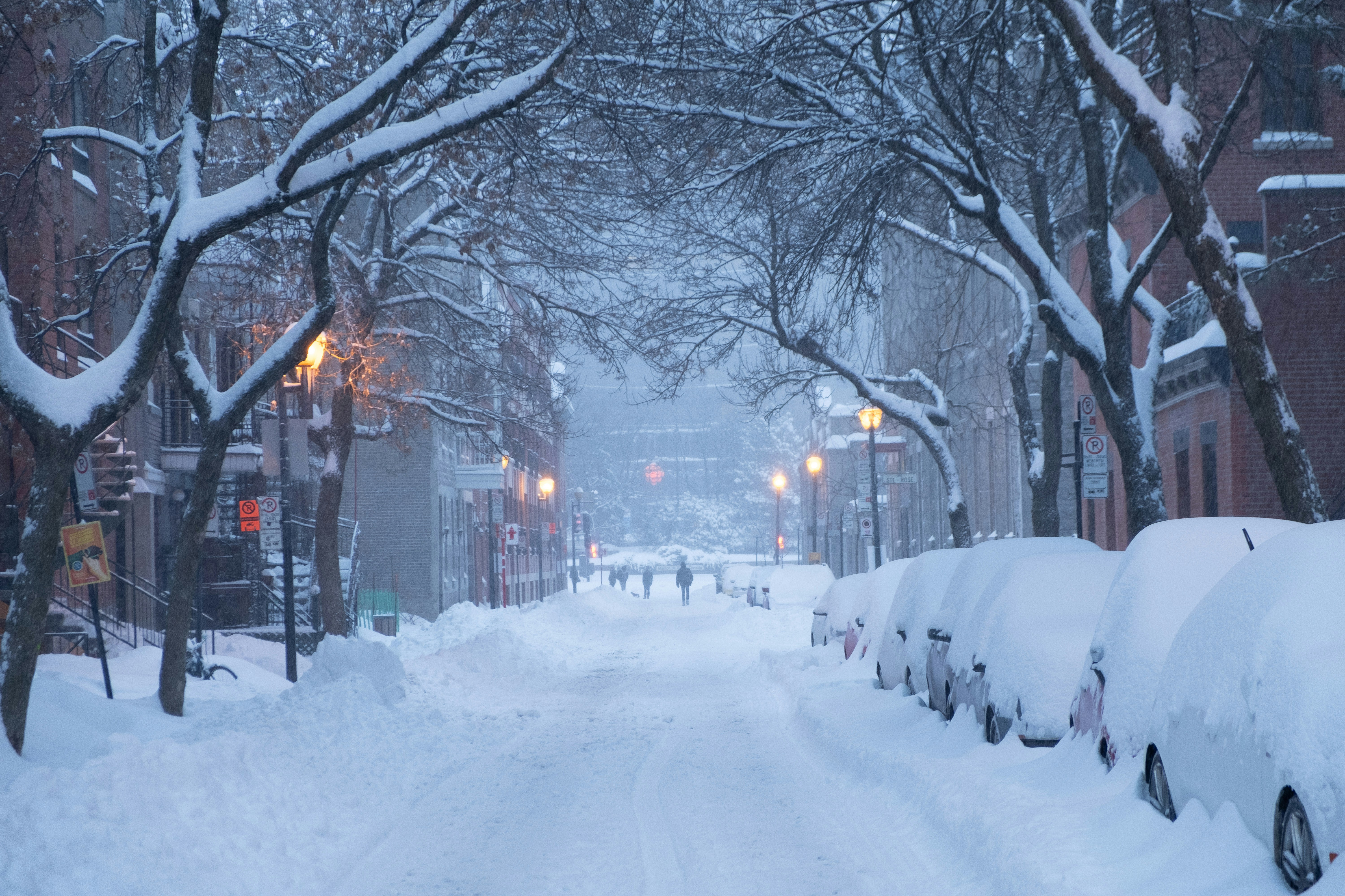 Winter Canada Winter Canada
