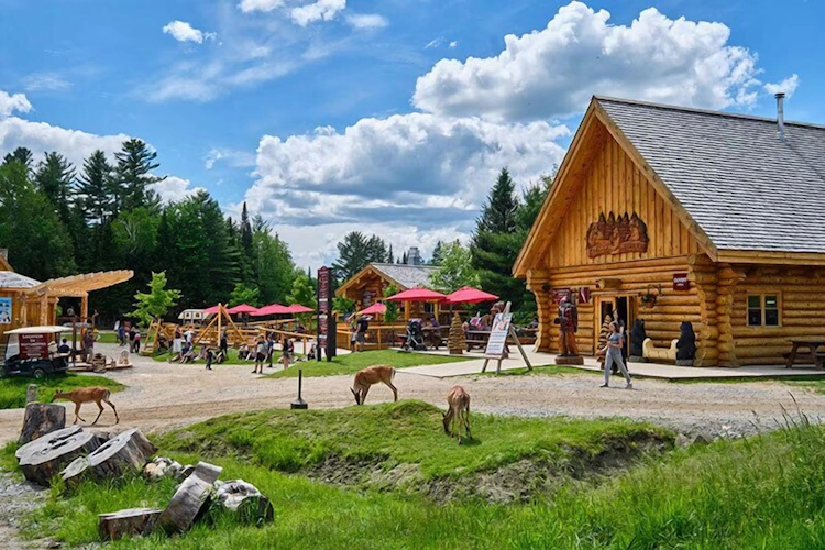 Omega Park algemeen.webp